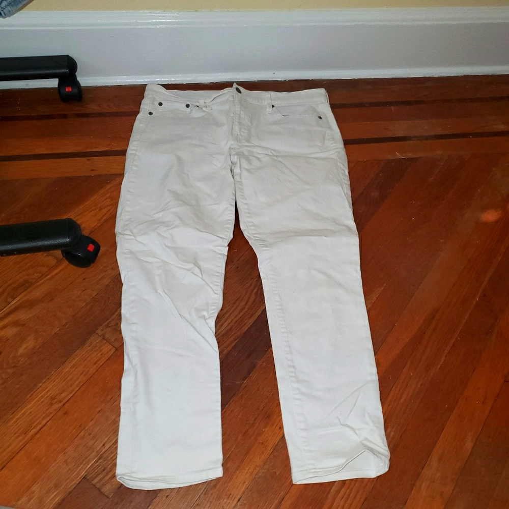 Pant